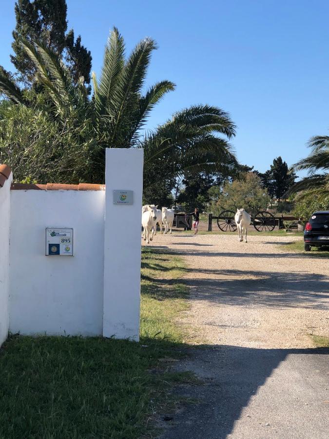 Gite Armieux Saintes-Maries-de-la-Mer Zewnętrze zdjęcie